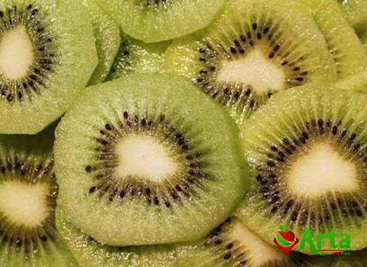 Green kiwi fruits purchase price + user guide