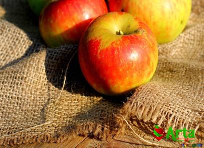 Buy the latest types of cherry apple fruit