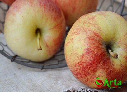 least sweet red apple | Buy at a cheap price
