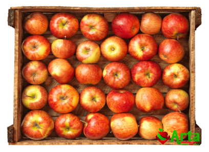 The price of sweet red apples + wholesale production distribution of the factory