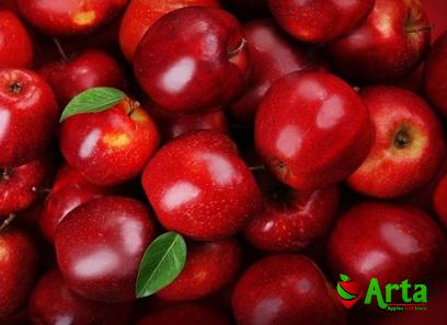 Buy and price of best red apple types