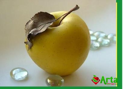 green apple asian fruit buying guide + great price