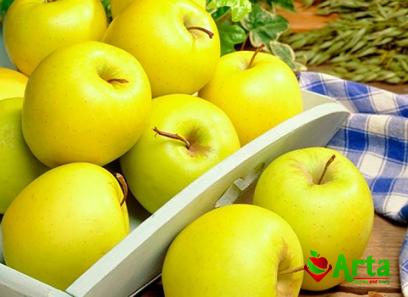 The price of green asian apple from production to consumption