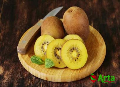 The price and purchase types of Iranian golden kiwi