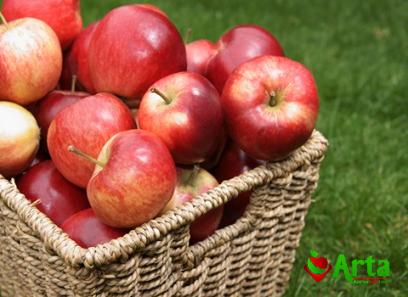 Buy best red apple for eating at an exceptional price