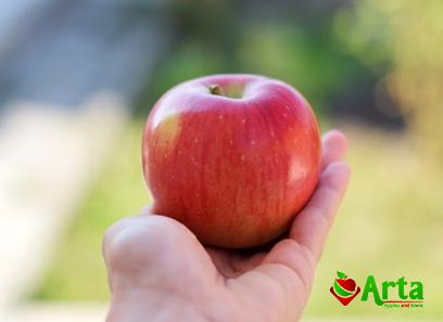 top 5 sweetest apples + purchase price, uses and properties