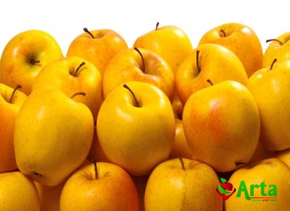 Buy the latest types of cashew apple fruit