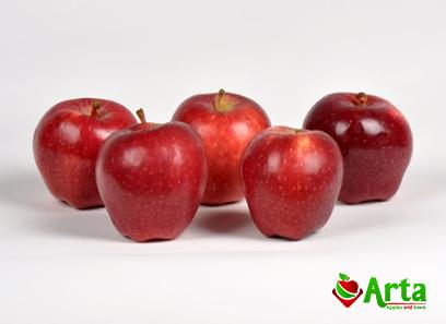 Buy the latest types of red apple types