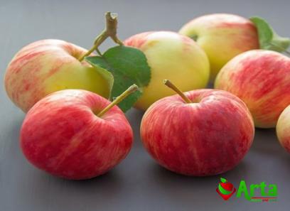 Buy the latest types of australian apple fruit