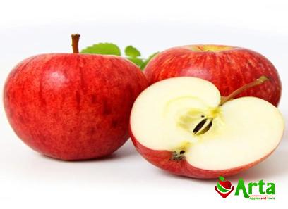 Fuji apple vs red delicious + best buy price
