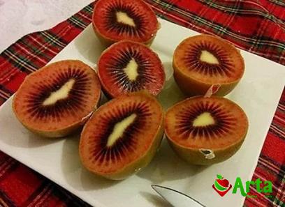 Price and buy red kiwi fruit nz + cheap sale