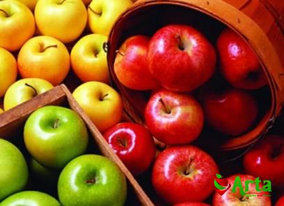 Specifications african apple fruit + purchase price