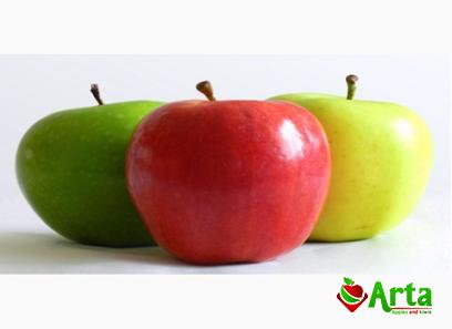 Specifications star apple fruit + purchase price
