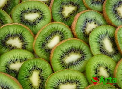 Kiwi fruit products buying guide + great price