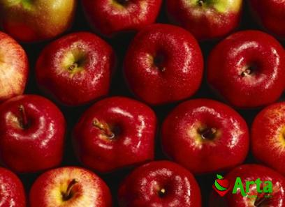 Buy the latest types of bear apple fruit