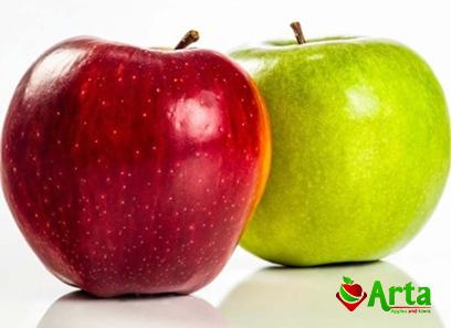 Purchase and price of huge green apple types