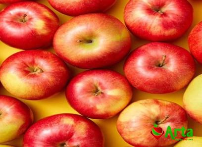 sweetest red apples price + wholesale and cheap packing specifications