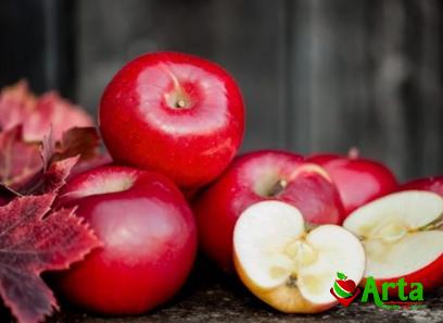 Price and buy best type of red apple + cheap sale