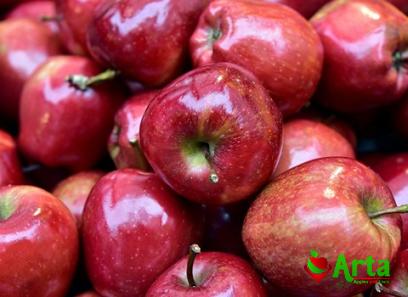 Specifications black apple fruit + purchase price
