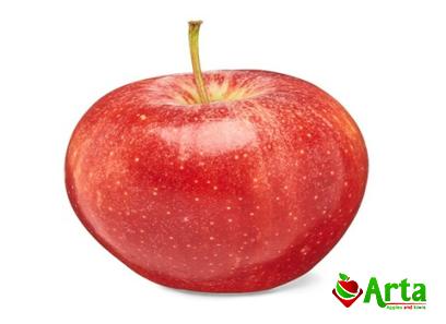 Buy best red apple brand at an exceptional price