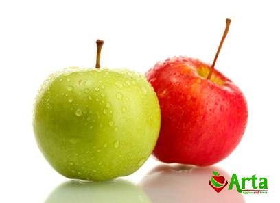 Buy the latest types of bitter apple fruit